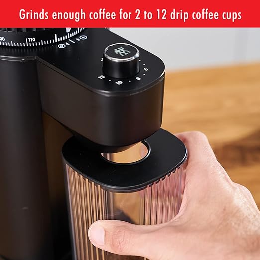 Zwilling Enfinigy coffee grinder, COLORES VARIADOS 53104