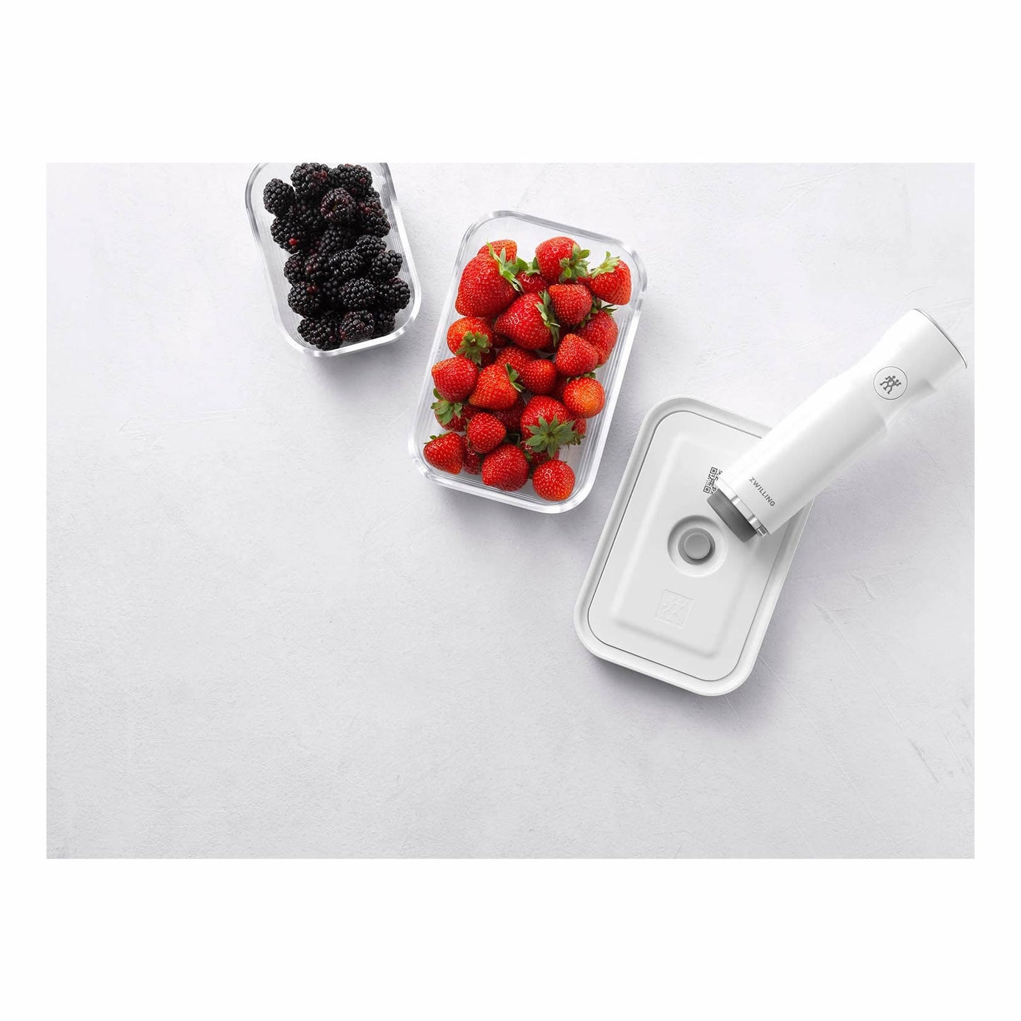 Zwilling Fresh & Save Vacuum box TAMANOS VARIADOS