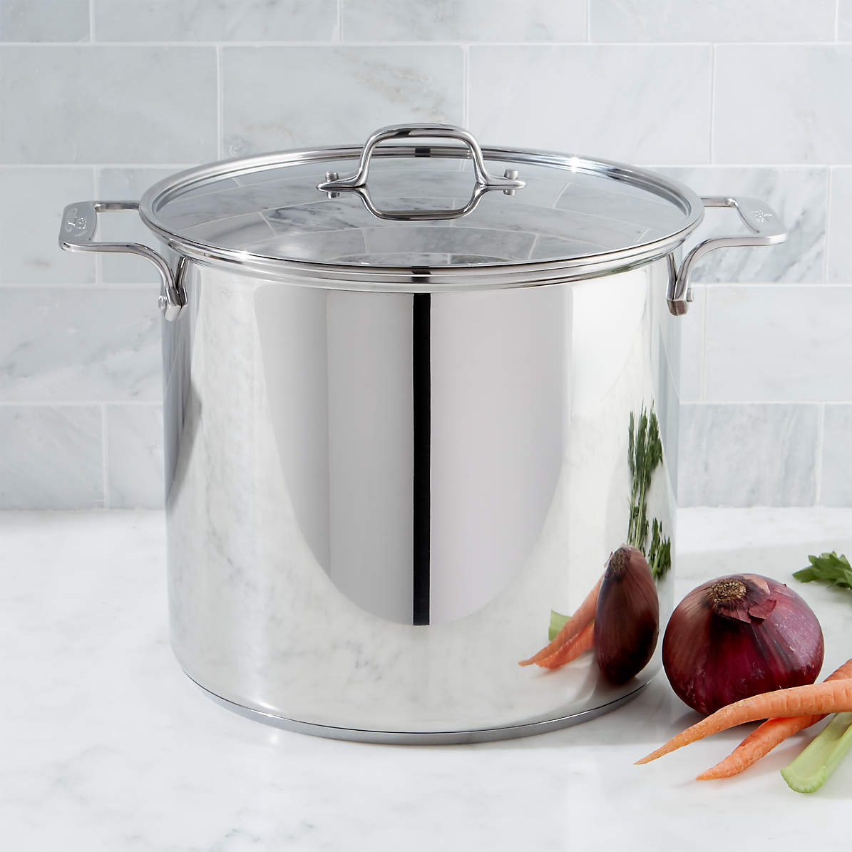 All-clad 16 Qt Stockpot 2100083072