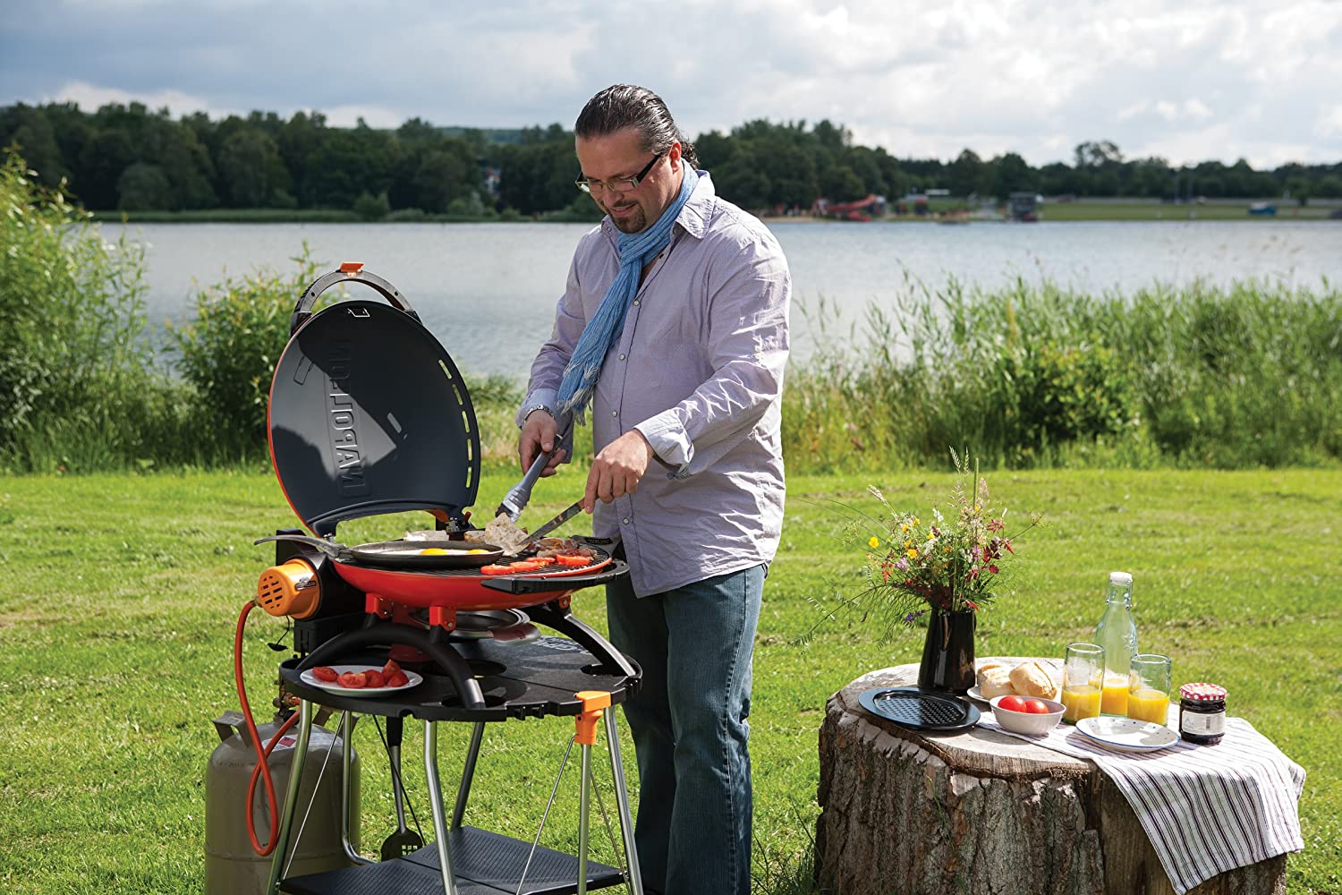 Napoleon TRAVELQ™ 2225 Portable Gas Grill TQ2225PO bbq