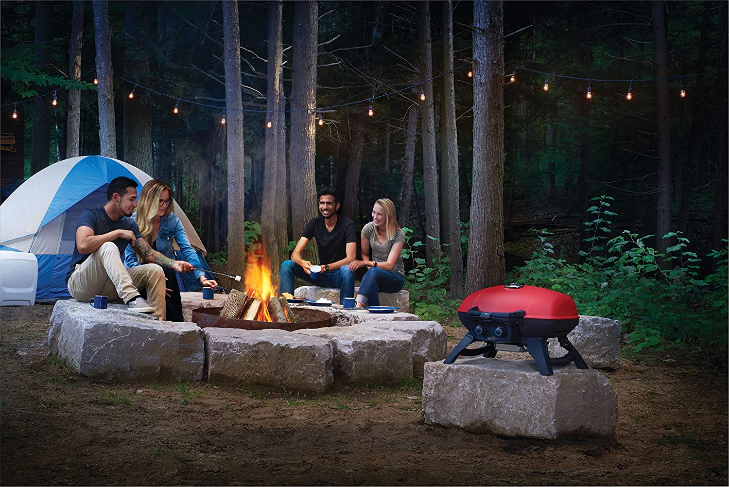 Napoleon Travel Q Series 44" Portable LP Gas Grill; Color: Red TQ285X-RD-A